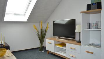 Fernseher, Stereoanlage