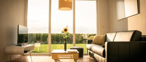 TV, DVD player, stereo