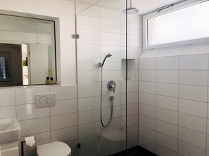 A modern bathroom with a glass shower enclosure, a toilet, and a mirror.