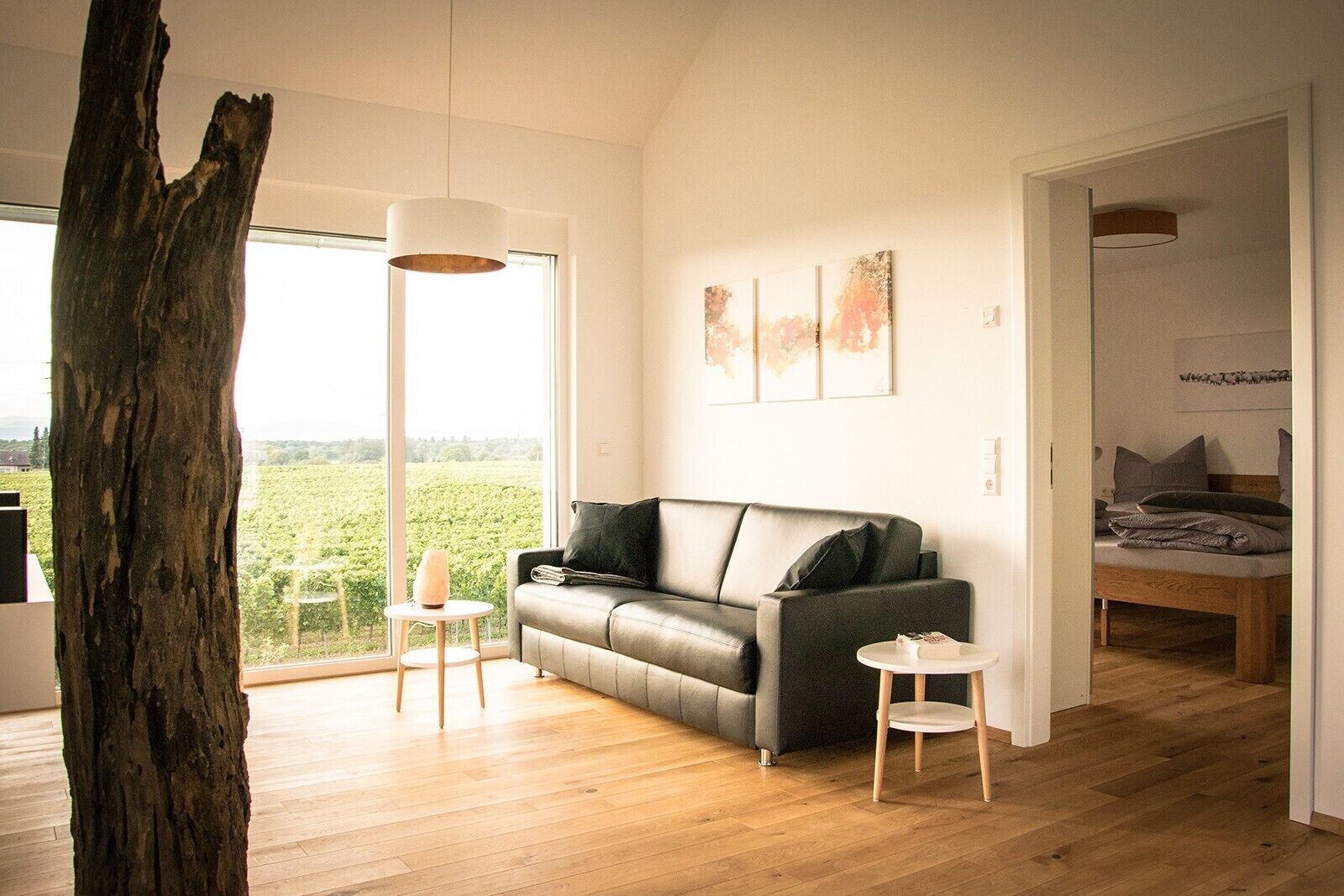 テレビ、DVD プレーヤー、ステレオ