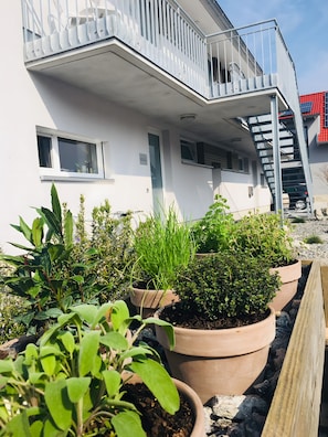 A modern building with a balcony, potted plants, and a staircase.