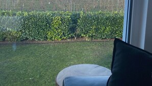 Una habitación con vista a un viñedo, un césped y un seto.