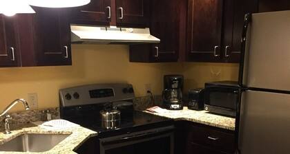 Thanksgiving in Pittsfield, Mass.- 1 BR 1 Ba. Snow & More! 11/26-11/29/2025