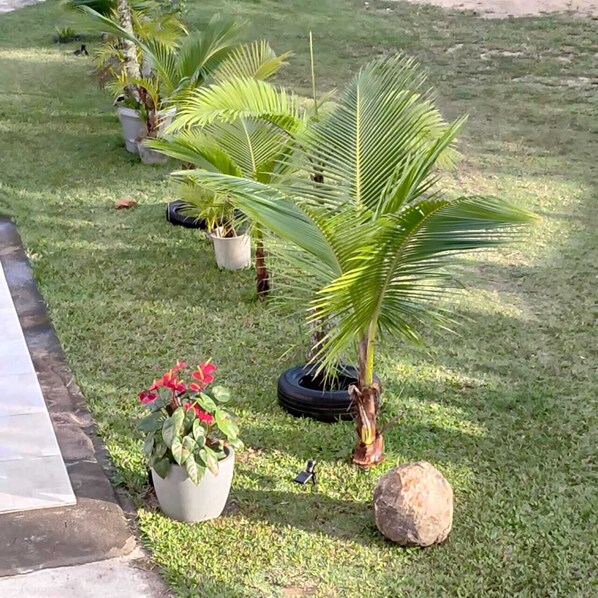 Jardines del alojamiento