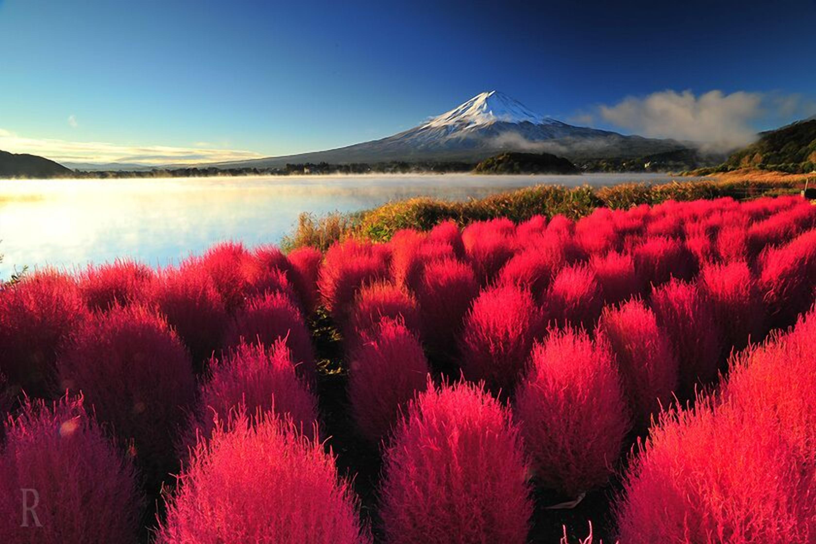 A mountain landscape with a lake and red vegetation in the foreground.