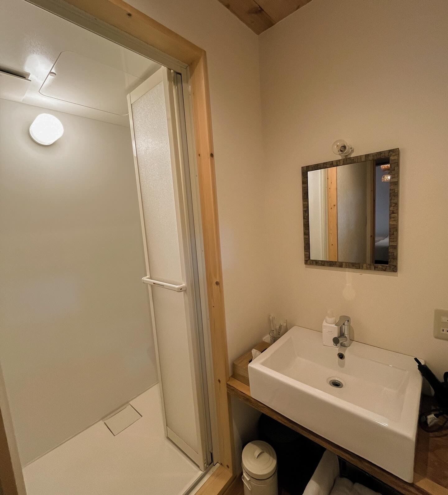 A bathroom with a shower, a sink, and a mirror.