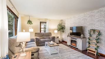 Smart-TV, Kamin