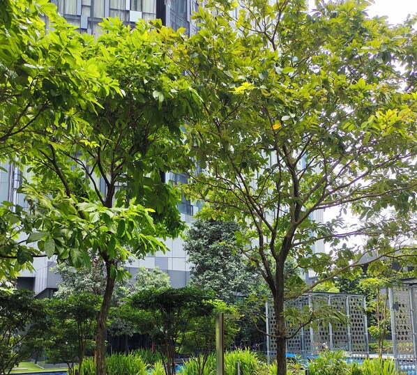 A lush garden with mature trees and a modern building in the background.