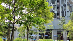Ảnh chưa phân loại, 5 trong số 56 ảnh, nút