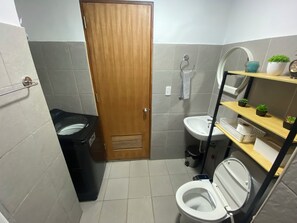 Shower, hair dryer, bidet, towels