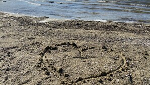 A sandy beach with footprints leading to the water.