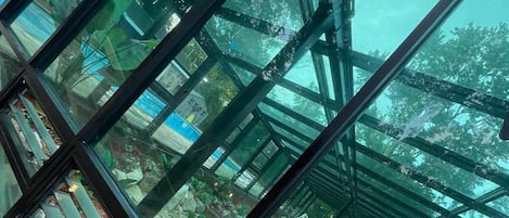 住宿内部