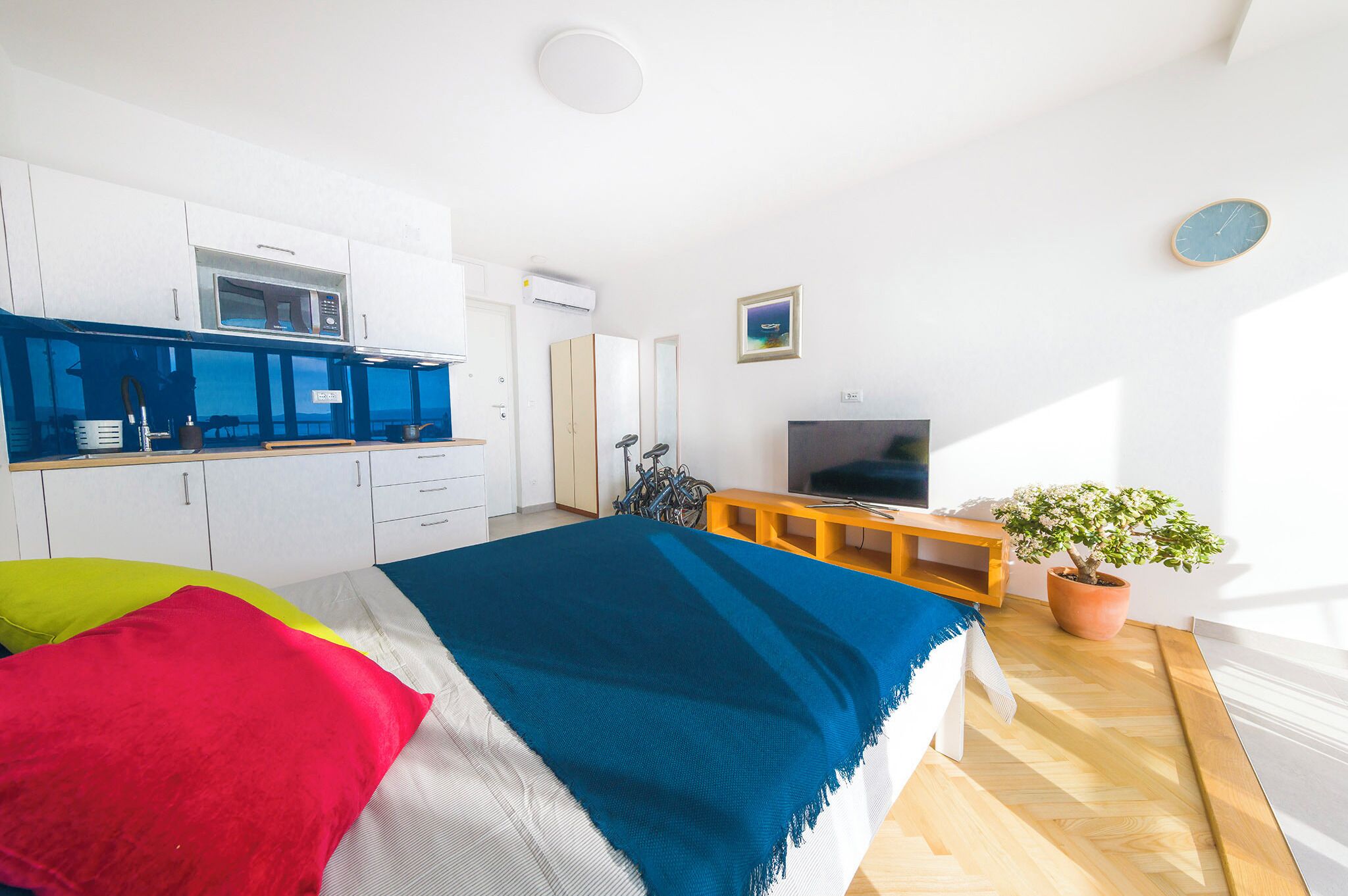 A bedroom with a bed, a TV, a potted plant, and a kitchenette.
