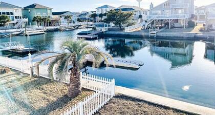 Pug Life - Walk to the Ocean!