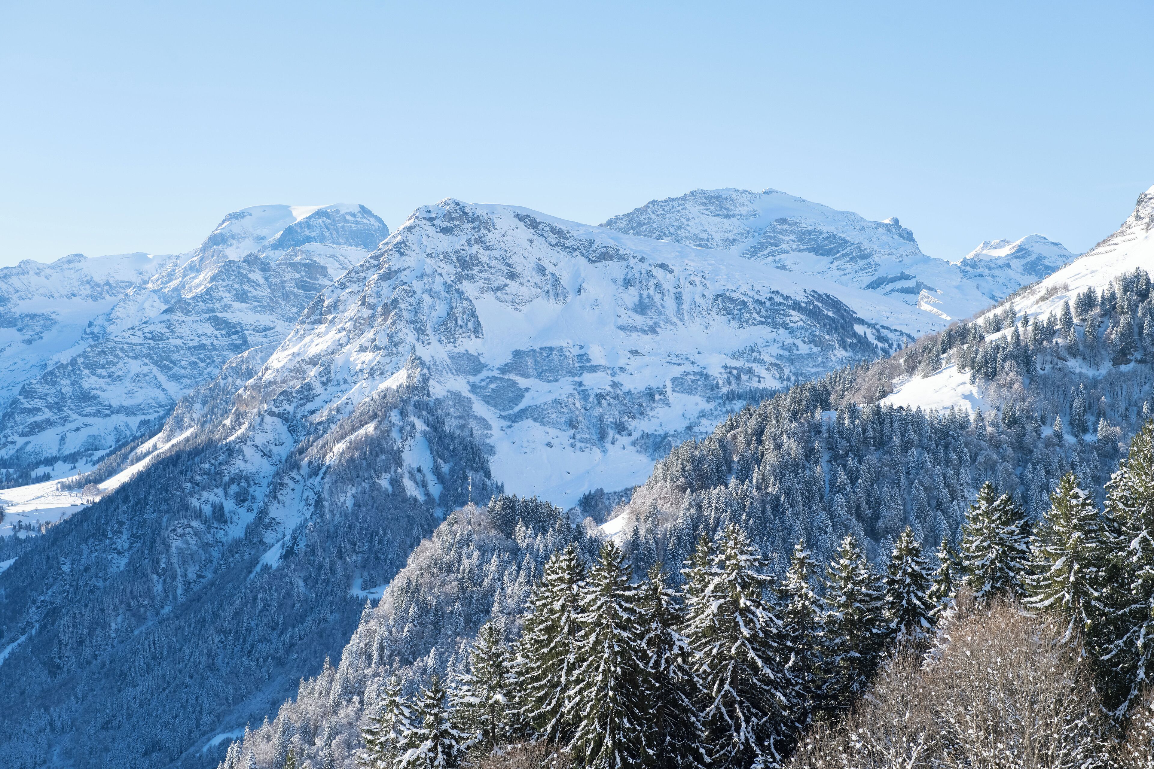 Eine gebirgige Landschaft mit schneebedeckten Gipfeln und dichten Wäldern.