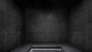 Sauna, hammam, massages suédois, massages sportifs, 1 salle de soins