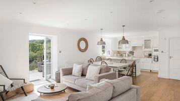 Télévision, cheminée, espaces bureaux