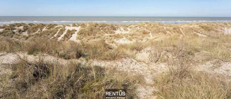 Playa en los alrededores