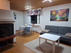 TV, fireplace, books - Lakeside Cabin in Wild Lapland "Call of the Wolf" (Vanttauskoski)