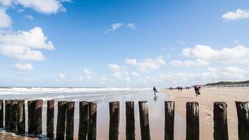 Playa en los alrededores