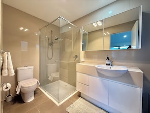Shower, hair dryer, towels, soap