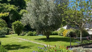A garden with a wooden deck, a lawn, and a variety of plants and flowers. - Spa suite, bohemian ambience & romantic experience (Saumur)