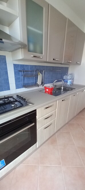 Fridge, cookware/dishes/utensils