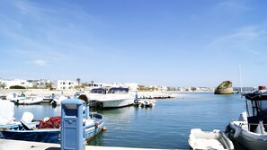 Marina