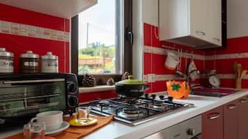 Fridge, oven, stovetop, electric kettle