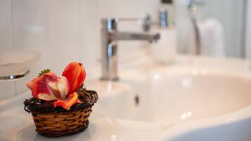 Douche, sĂšche-cheveux, serviettes fournies