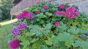 A stone building with a wooden balcony and hydrangea flowers in front. - Holiday Home 'La Rosa Bianca' with Mountain View, Private Terrace and Wi-Fi (Morbegno)