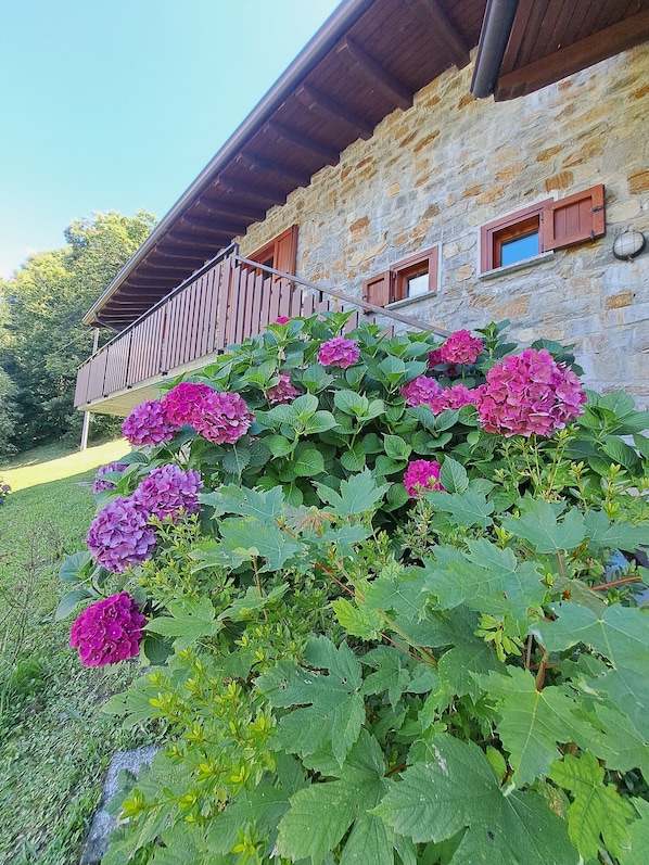 A stone building with a wooden balcony and hydrangea flowers in front.