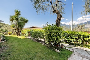Un giardino curato con diverse piante e un cielo sereno.