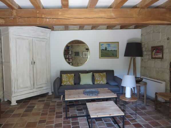 TV connectée, cheminée, lecteur de DVD, livres