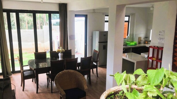 A modern dining area with a glass table and chairs, a potted plant, and a view of the outdoors.