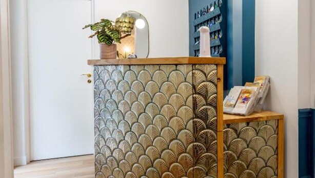 A reception desk with a patterned backdrop, a potted plant, and a wall-mounted shelf with books. - Europe BLV (Paris)