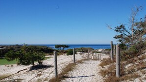 Una playa arenosa con una vista despejada del océano, un sendero cercado y vegetación escasa.