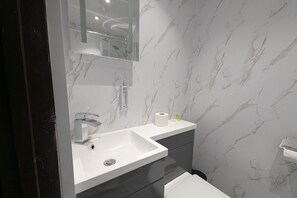 Shower, hair dryer