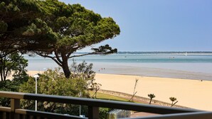 Une plage avec un grand arbre au premier plan, une rive sablonneuse et une mer calme.