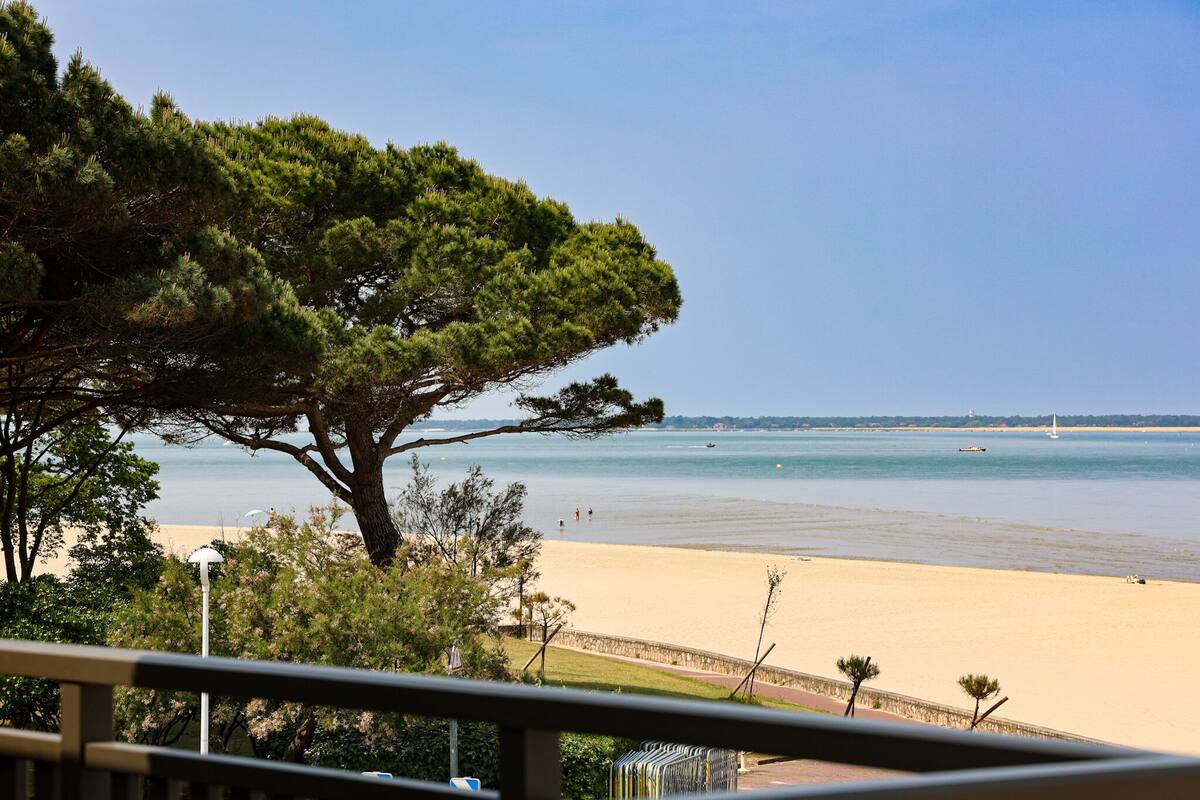 Una playa con un gran árbol en primer plano, una orilla arenosa y un mar tranquilo.