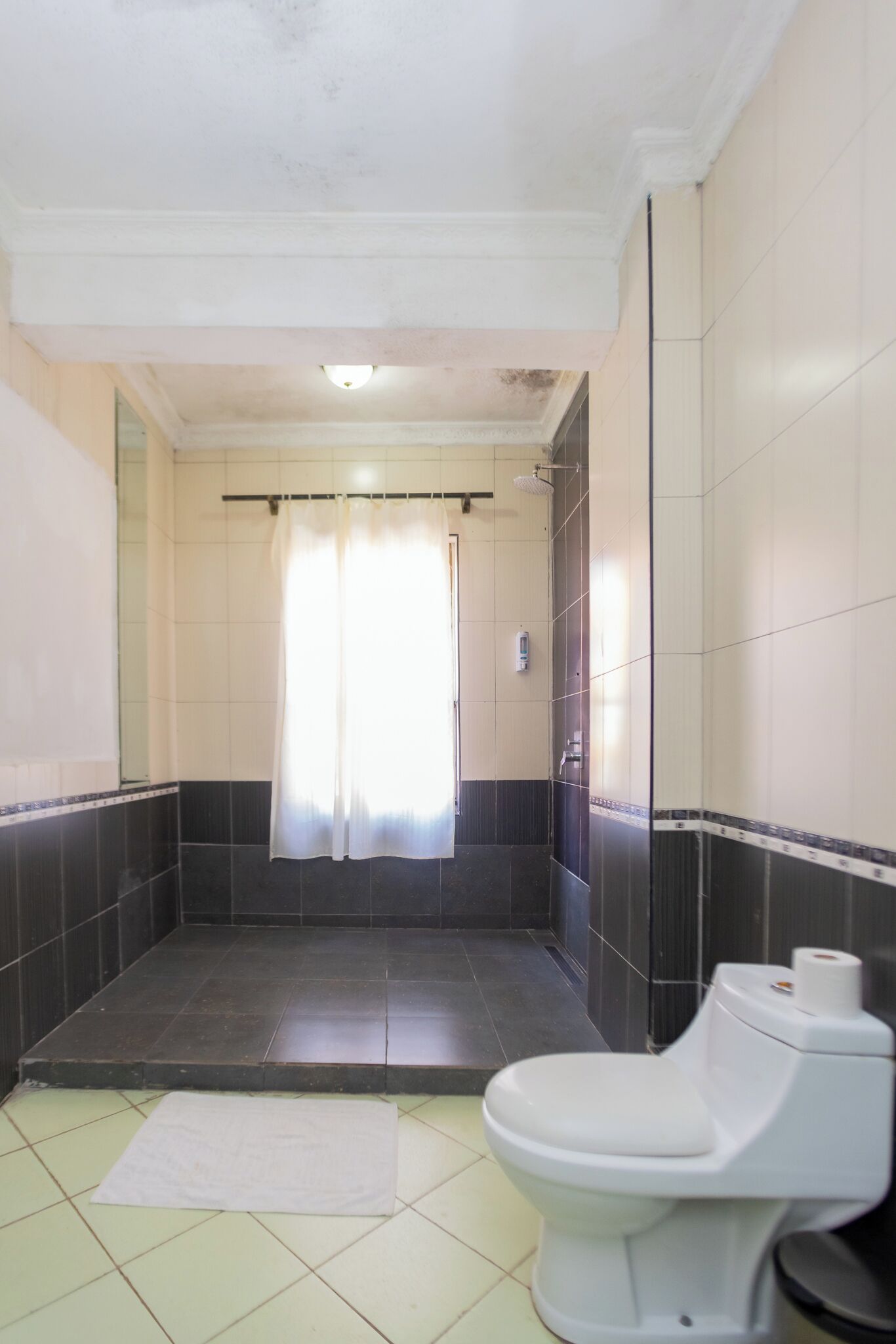 A bathroom with a toilet, a shower, and a mirror.