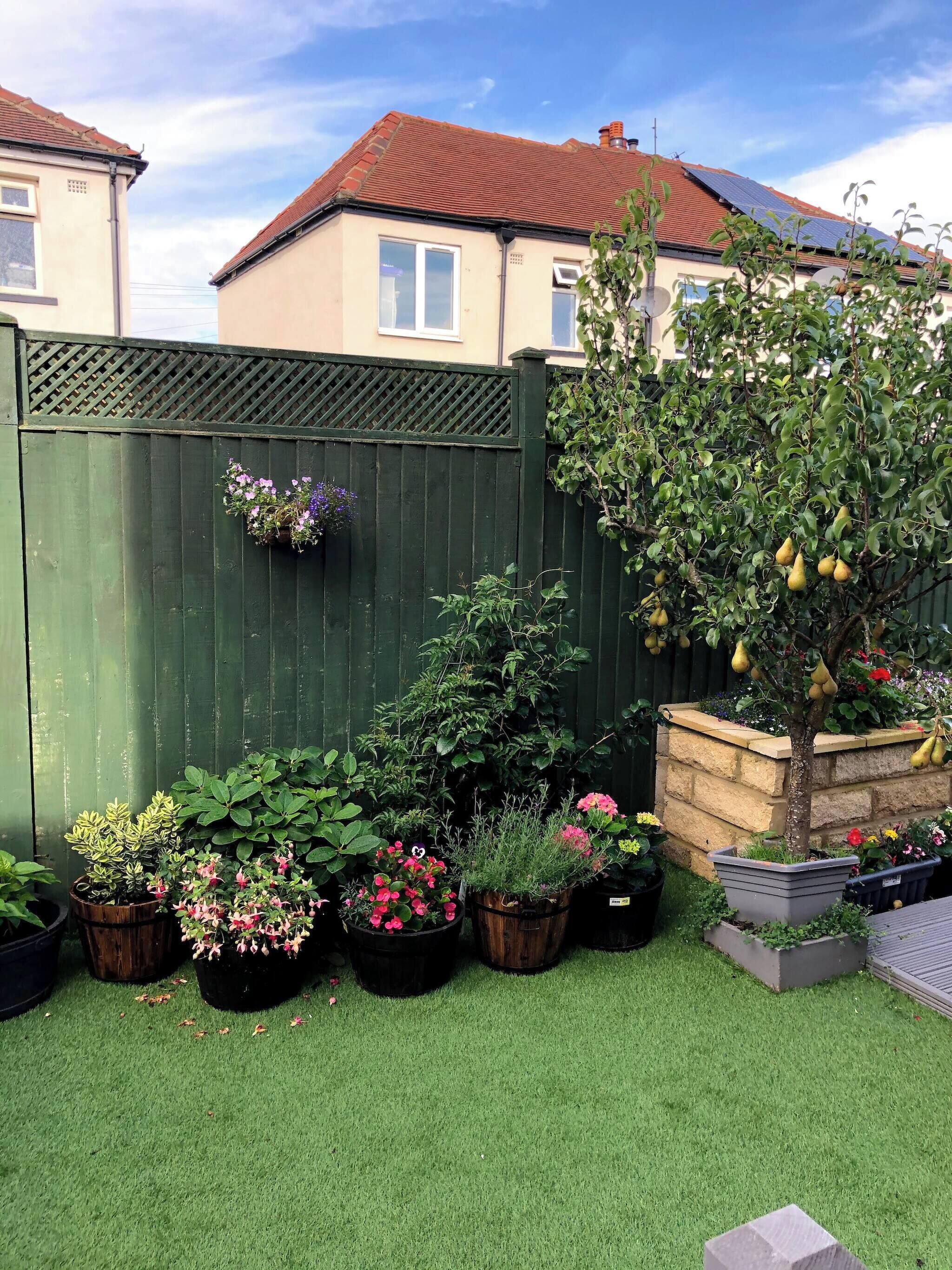 Apartment, 1 Bedroom, Garden View | Garden