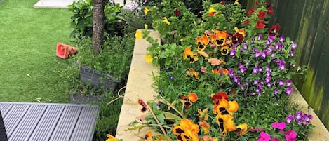 Jardín