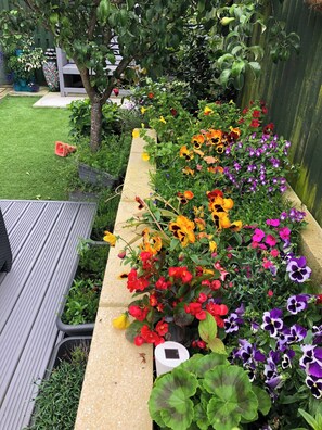 Apartamento, 1 quarto, vista para o jardim | Jardim