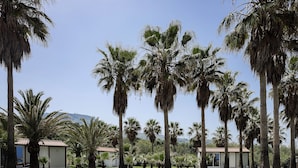 A courtyard with palm trees, a small building with a tiled roof, and a clear blue sky. - La Palma Beachfront Suites (Apokoronas)
