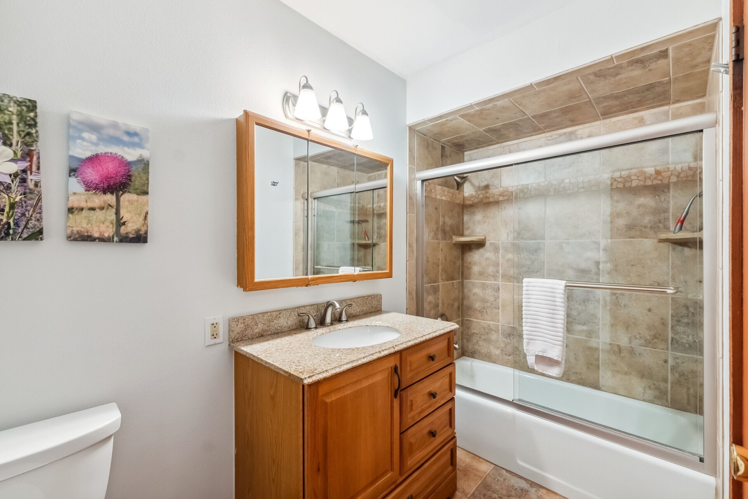 Chuveiro, secador de cabelo, toalhas de banho 