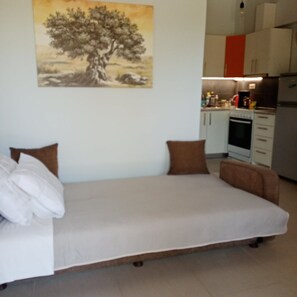 1 habitación y sistema de insonorización 