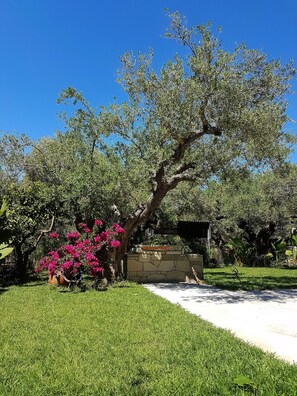 Ein gepflegter Garten mit einem großen Baum, einer Steinsäule und leuchtend rosa Blüten.