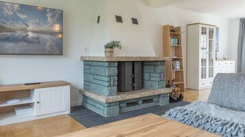 Televisión, chimenea, libros, estéreo