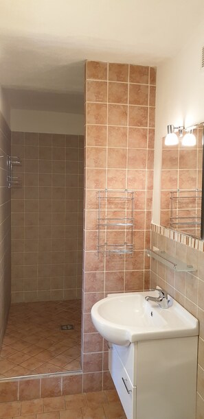 Secadora de cabello, bidet, toallas, papel de baño 